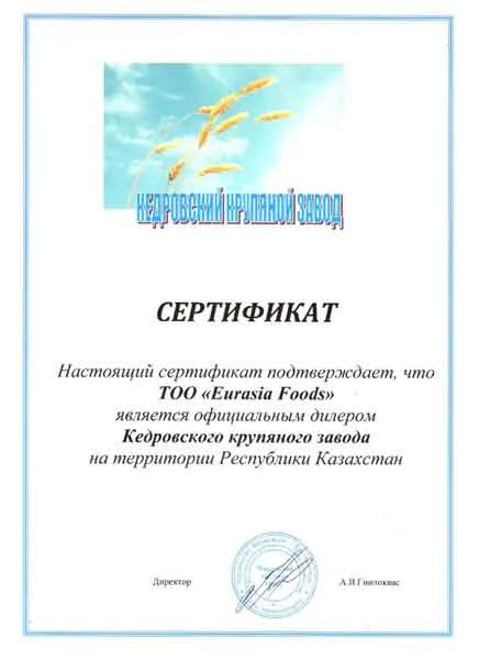 Диплом и благодарственное письмо 2 из 5, скан с официального сайта компании